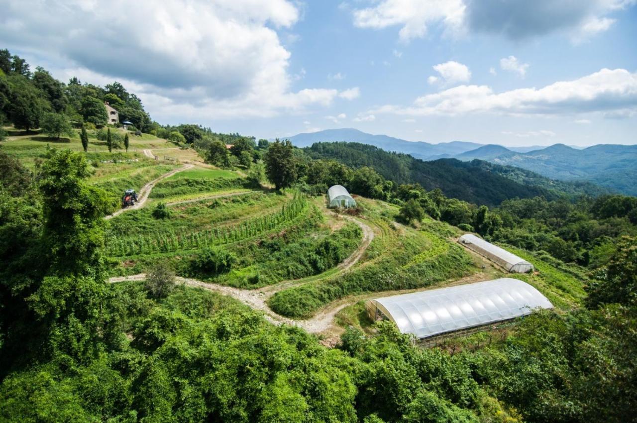 Agriturismo Giandriale Tavarone Eksteriør billede