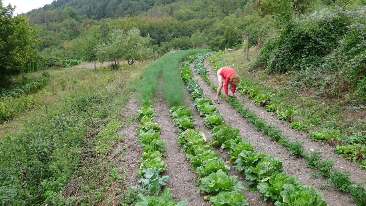 Agriturismo Giandriale Tavarone Eksteriør billede