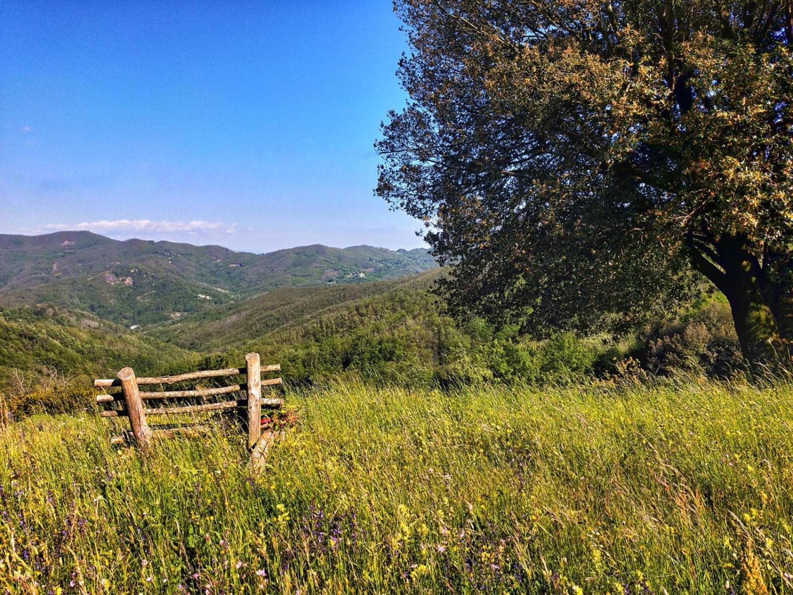 Agriturismo Giandriale Tavarone Eksteriør billede